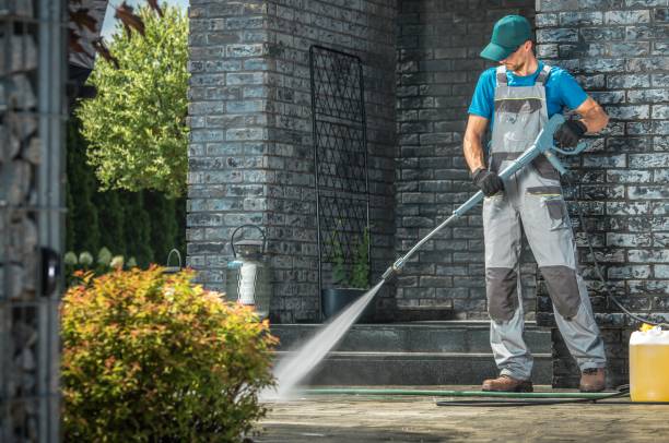 Best Solar Panel Cleaning  in Kelseyville, CA